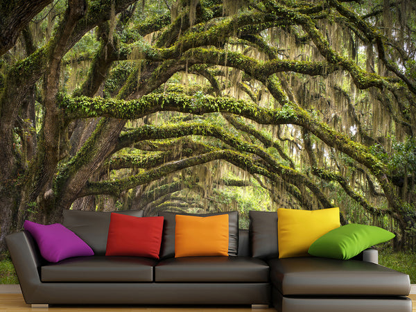 Peel and Stick Mural Wallpaper For a Living Room Bed Room – 'Deep Forest'