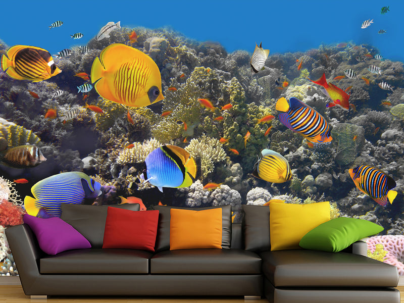 Nature Print Self-Adhesive Wallpaper "Fascinating Underwater World" – For School, Teen Room, Office 🌊