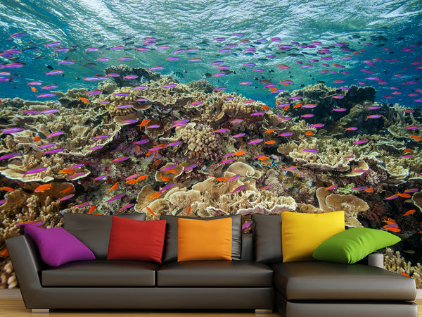 3D Non-Woven Wall Mural With Marine Print – “School Of Fish Among Corals” For Office & Room Desing