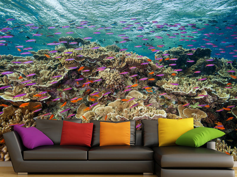 3D Non-Woven Wall Mural With Marine Print – “School Of Fish Among Corals” For Office & Room Desing