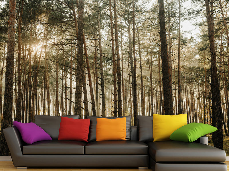 🌲Natural Print Self-Adhesive Wall Murals "Forest With Sun Rays", Photo Wallpaper For Home Decoration🌲