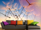 Peel & Stick Mural For Full Wall Photo Wallpaper – Dandelion in the Wind | Home Wall Desing