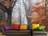 Natural Design Non-Woven Wallpaper Mural For Living Room, Bedroom, Office "Autumn Forest In Shimmering Orange Leaves"