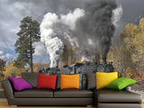 Peel and Stick Full Wall Mural Print For Living Room, Bedroom, Workspace "Train" Combination Of Technology And Nature