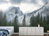 Incredible Traditional Mural for Living Room, Office, Reception "Winter Mountain Landscape"