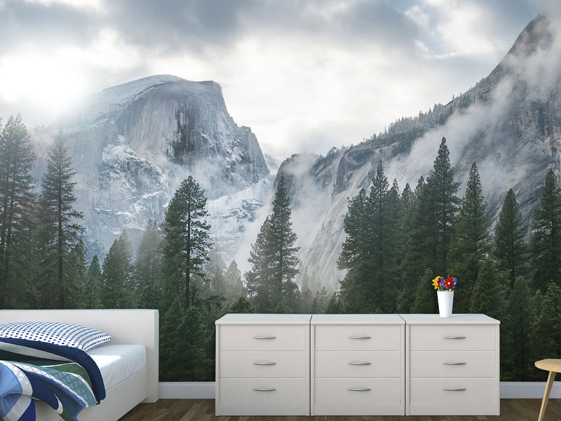 Incredible Traditional Mural for Living Room, Office, Reception "Winter Mountain Landscape"