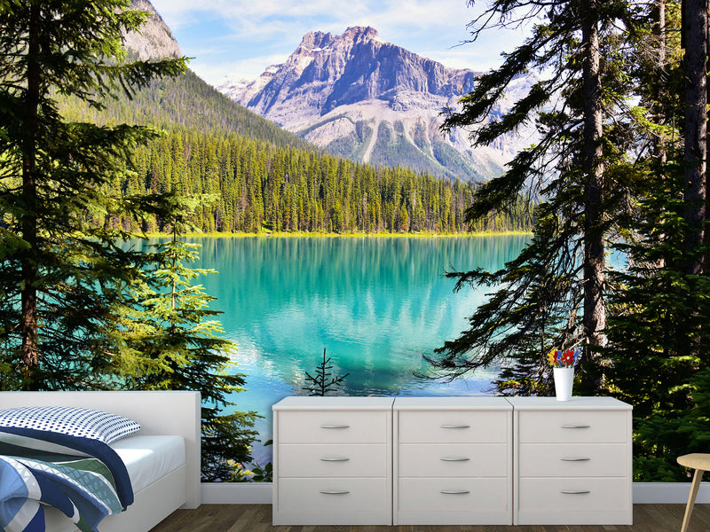Nature-Inspired Peel and Stick Mural for Living Room or Lounge Area – "Emerald Lake, British Columbia,Yoho National Park"