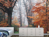 Natural Design Non-Woven Wallpaper Mural For Living Room, Bedroom, Office "Autumn Forest In Shimmering Orange Leaves"