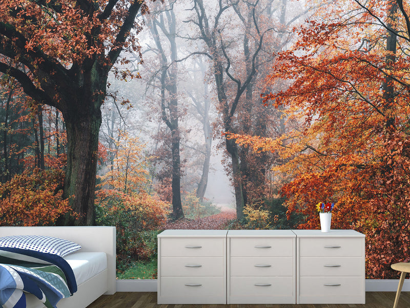 Natural Design Non-Woven Wallpaper Mural For Living Room, Bedroom, Office "Autumn Forest In Shimmering Orange Leaves"