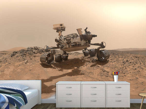 Peel & Stick Vinyl Wallpaper Space Design for Living Room or Office Print Mars Rover Wall Mural