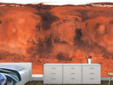 Traditional Full-Wall Wallpaper – Abstract Art 'Red Blurs' | Accent Wall Design Foe Home