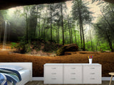 Non-Woven Mural Wallpaper Mural For Home, Office, Or Apartment Interior Decor - Art Cave View Of A Foggy Forest