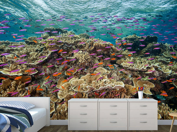 3D Non-Woven Wall Mural With Marine Print – “School Of Fish Among Corals” For Office & Room Desing