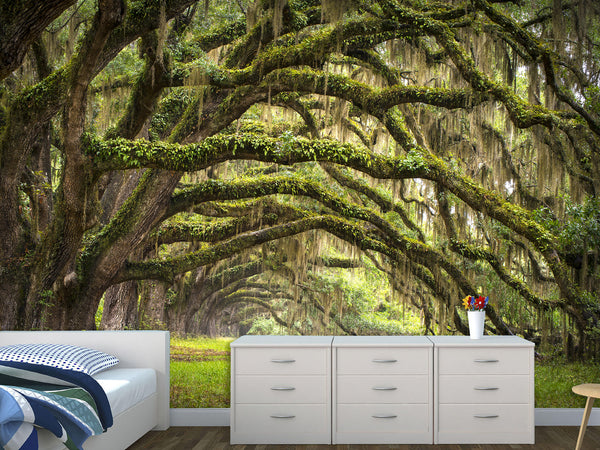 Peel and Stick Mural Wallpaper For a Living Room Bed Room – 'Deep Forest'
