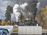 Peel and Stick Full Wall Mural Print For Living Room, Bedroom, Workspace "Train" Combination Of Technology And Nature