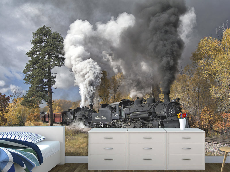 Peel and Stick Full Wall Mural Print For Living Room, Bedroom, Workspace "Train" Combination Of Technology And Nature