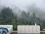 Peel and Stick 3d photo wallpaper “Morning fog in the forest” , Oracal film for home decoration