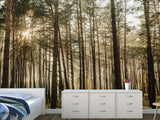 🌲Natural Print Self-Adhesive Wall Murals "Forest With Sun Rays", Photo Wallpaper For Home Decoration🌲