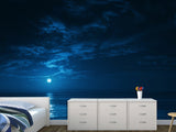 Non-Woven Mural Full Wall for Bedroom & Kitchen Print Moonlit Ocean at Night
