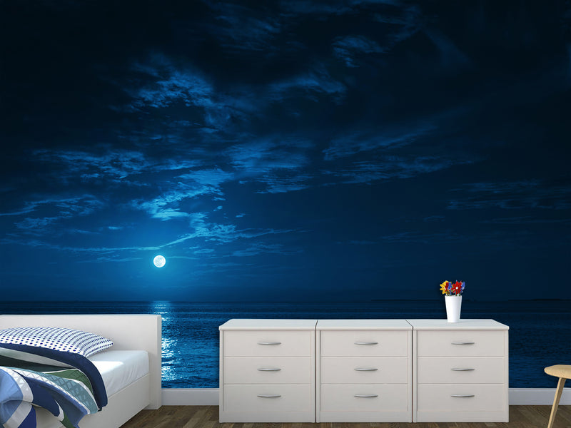 Non-Woven Mural Full Wall for Bedroom & Kitchen Print Moonlit Ocean at Night