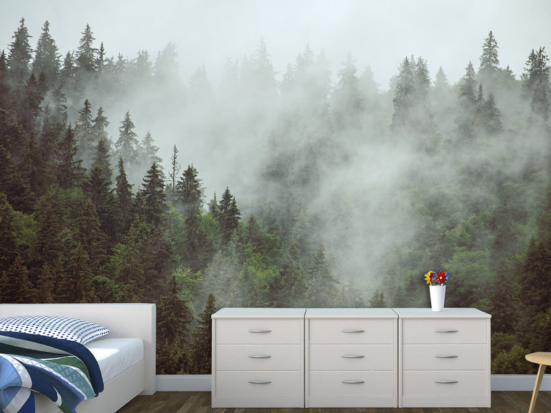Non-Woven Nature Print Wall Mural for Office, Living Room, "Forest in Mist" Wall Art