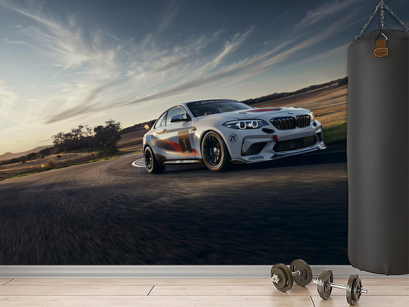Peel and Stik Mural Full Print Wall Print High-Speed Racing Car Poster for Gym or Game Room Decor