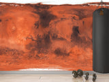 Traditional Full-Wall Wallpaper – Abstract Art 'Red Blurs' | Accent Wall Design Foe Home