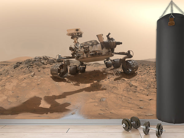 Peel & Stick Vinyl Wallpaper Space Design for Living Room or Office Print Mars Rover Wall Mural