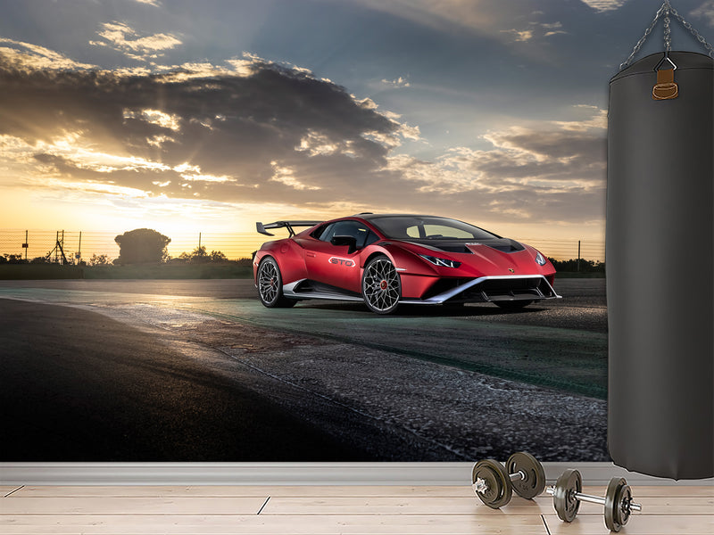 Non-Woven Mural Wallpaper For Gym Or Room – "Sports Car: Power And Nature", Decor For Bedroom