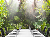 Self-Adhesive Wallpaper – Custom Design for Lounge Area, "Greenhouse by Egon Zitter"