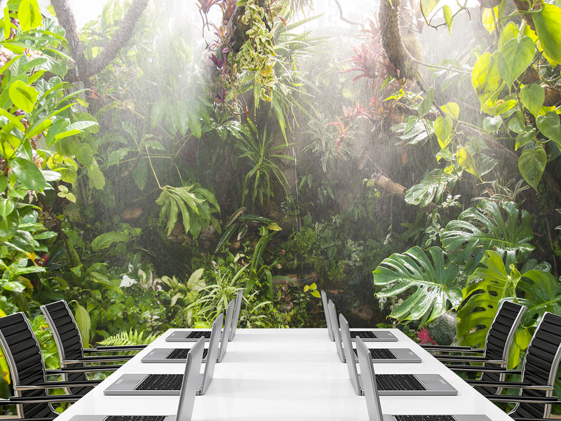 Self-Adhesive Wallpaper – Custom Design for Lounge Area, "Greenhouse by Egon Zitter"