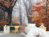 Natural Design Non-Woven Wallpaper Mural For Living Room, Bedroom, Office "Autumn Forest In Shimmering Orange Leaves"
