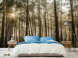 🌲Natural Print Self-Adhesive Wall Murals "Forest With Sun Rays", Photo Wallpaper For Home Decoration🌲