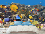 Nature Print Self-Adhesive Wallpaper "Fascinating Underwater World" – For School, Teen Room, Office 🌊
