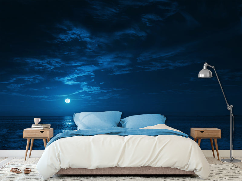 Non-Woven Mural Full Wall for Bedroom & Kitchen Print Moonlit Ocean at Night