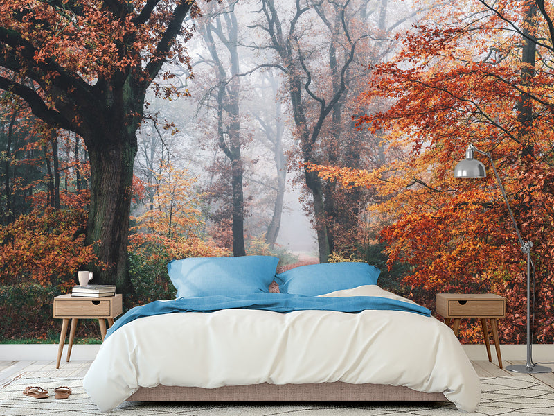 Natural Design Non-Woven Wallpaper Mural For Living Room, Bedroom, Office "Autumn Forest In Shimmering Orange Leaves"