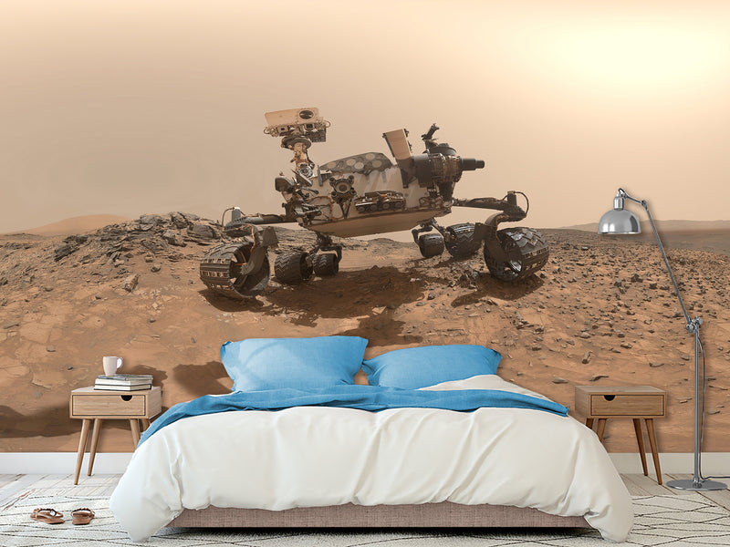 Peel & Stick Vinyl Wallpaper Space Design for Living Room or Office Print Mars Rover Wall Mural