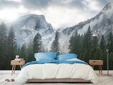 Incredible Traditional Mural for Living Room, Office, Reception "Winter Mountain Landscape"