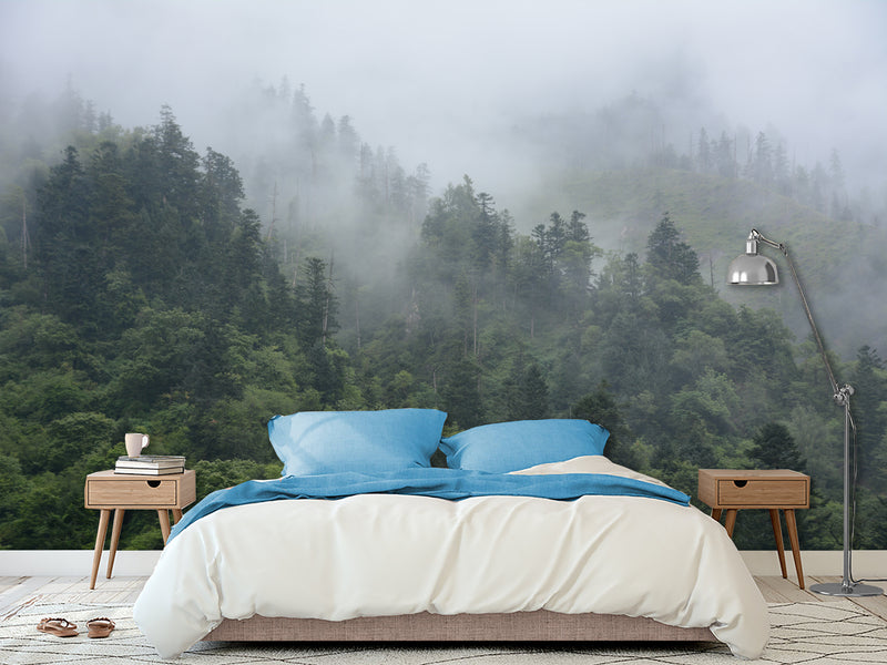 Peel and Stick 3d photo wallpaper “Morning fog in the forest” , Oracal film for home decoration