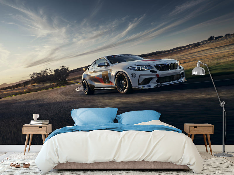 Peel and Stik Mural Full Print Wall Print High-Speed Racing Car Poster for Gym or Game Room Decor