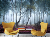 Peel and Stick Wallpaper with Fast Production for Bedroom & Living Room - Misty Birch Forest