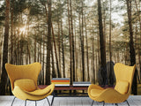 🌲Natural Print Self-Adhesive Wall Murals "Forest With Sun Rays", Photo Wallpaper For Home Decoration🌲