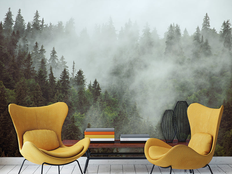 Non-Woven Nature Print Wall Mural for Office, Living Room, "Forest in Mist" Wall Art