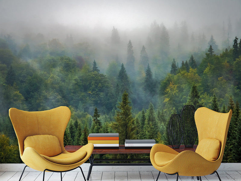 Peel and Stick 3d photo wallpaper Misty Forest Wallpaper – Foggy Woods Wall Mural for Nature-Inspired Interior Decor
