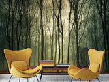 Peel & Stick Mural For  Office, Living Room & Bedroom - Forest Thicket Print