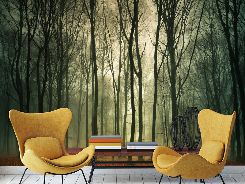 Peel & Stick Mural For  Office, Living Room & Bedroom - Forest Thicket Print
