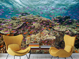 3D Non-Woven Wall Mural With Marine Print – “School Of Fish Among Corals” For Office & Room Desing