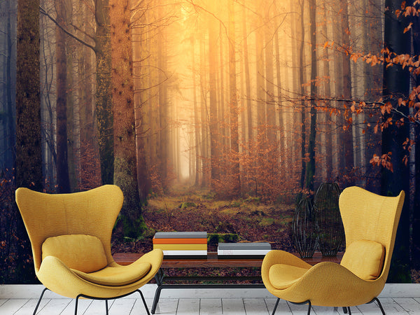 Modern Self-Adhesive Wallpaper "Autumn Forest" — Art Print for Office, Study, and Living Room