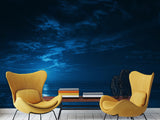 Non-Woven Mural Full Wall for Bedroom & Kitchen Print Moonlit Ocean at Night