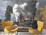 Peel and Stick Full Wall Mural Print For Living Room, Bedroom, Workspace "Train" Combination Of Technology And Nature